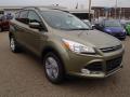 2014 Escape SE 2.0L EcoBoost 4WD #2 2014 Escape SE 2.0L EcoBoost 4WD #2