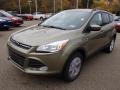 2014 Escape SE 2.0L EcoBoost 4WD #4 2014 Escape SE 2.0L EcoBoost 4WD #4