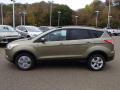 2014 Escape SE 2.0L EcoBoost 4WD #5 2014 Escape SE 2.0L EcoBoost 4WD #5