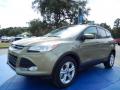 2014 Escape SE 2.0L EcoBoost #1 2014 Escape SE 2.0L EcoBoost #1