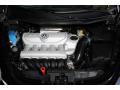 2010 New Beetle 2.5 Coupe #25