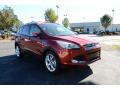 2014 Escape Titanium 2.0L EcoBoost #3
