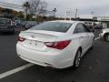 2013 Sonata SE #6 2013 Sonata SE #6