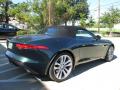 2014 F-TYPE  #10