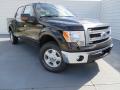2013 F150 XLT SuperCrew 4x4 #1