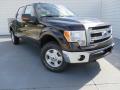 2013 F150 XLT SuperCrew 4x4 #2