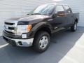 2013 F150 XLT SuperCrew 4x4 #7