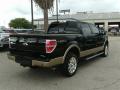 2011 F150 King Ranch SuperCrew 4x4 #6
