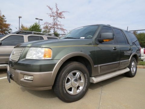 Estate Green Metallic Ford Expedition Eddie Bauer.  Click to enlarge.