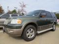 Front 3/4 View of 2004 Ford Expedition Eddie Bauer #1