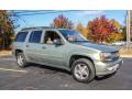 2004 TrailBlazer EXT LS 4x4 #8