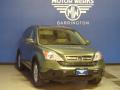 2009 CR-V EX-L 4WD #2