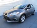 2014 Focus SE Sedan #8