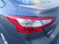2014 Focus SE Sedan #13
