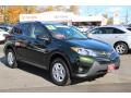2013 RAV4 LE #1