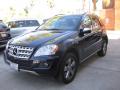 2009 ML 350 #5