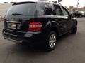 2006 ML 350 4Matic #4