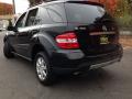 2006 ML 350 4Matic #5