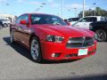 2013 Charger R/T Max #21