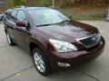 2009 RX 350 AWD #3 2009 RX 350 AWD #3