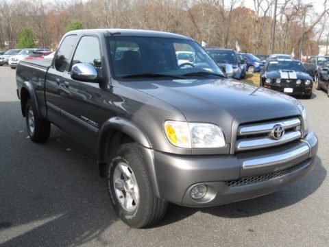 Phantom Gray Pearl Toyota Tundra SR5 Access Cab 4x4.  Click to enlarge.