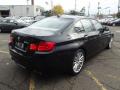 2011 5 Series 550i Sedan #3
