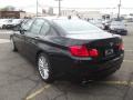 2011 5 Series 550i Sedan #4