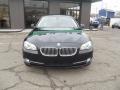 2011 5 Series 550i Sedan #7