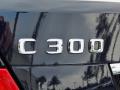2010 C 300 Luxury #9