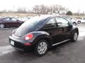 2009 New Beetle 2.5 Coupe #3