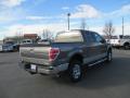 2011 F150 XLT SuperCrew 4x4 #6 2011 F150 XLT SuperCrew 4x4 #6