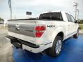 2013 F150 Platinum SuperCrew 4x4 #3 2013 F150 Platinum SuperCrew 4x4 #3