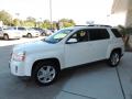 2010 Terrain SLE #5