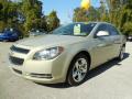 2010 Malibu LT Sedan #1 2010 Malibu LT Sedan #1