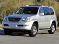 2008 GX 470 #10