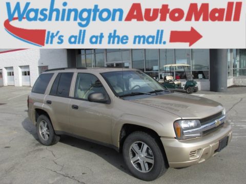 Sandstone Metallic Chevrolet TrailBlazer LS 4x4. Click to enlarge. Sandstone Metallic Chevrolet TrailBlazer LS 4x4. Click to enlarge.