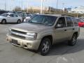 2006 TrailBlazer LS 4x4 #3 2006 TrailBlazer LS 4x4 #3
