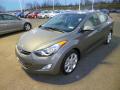 2013 Elantra Limited #3 2013 Elantra Limited #3