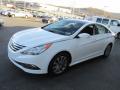 2014 Sonata Limited #5