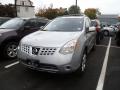 2010 Rogue SL AWD #3 2010 Rogue SL AWD #3