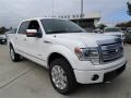 2014 F150 Platinum SuperCrew 4x4 #7