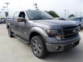 2013 F150 FX4 SuperCrew 4x4 #7