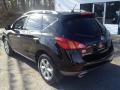 2009 Murano SL AWD #15 2009 Murano SL AWD #15