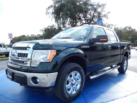 Green Gem Ford F150 XLT SuperCrew 4x4.  Click to enlarge.