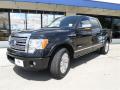 2012 F150 Platinum SuperCrew #1 2012 F150 Platinum SuperCrew #1