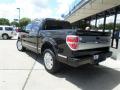 2012 F150 Platinum SuperCrew #3 2012 F150 Platinum SuperCrew #3