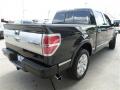 2012 F150 Platinum SuperCrew #5 2012 F150 Platinum SuperCrew #5