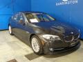 2011 5 Series 535i xDrive Sedan #3