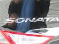 2014 Sonata GLS #12
