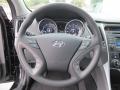 2014 Sonata GLS #26